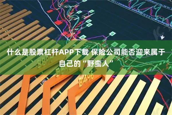 什么是股票杠杆APP下载 保险公司能否迎来属于自己的“野蛮人”