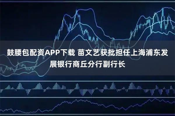 鼓腰包配资APP下载 苗文艺获批担任上海浦东发展银行商丘分行副行长