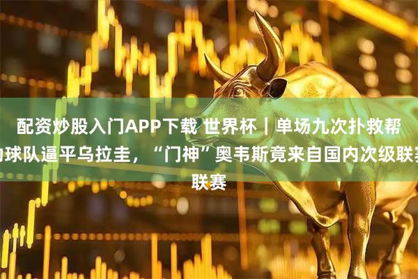 配资炒股入门APP下载 世界杯｜单场九次扑救帮助球队逼平乌拉圭，“门神”奥韦斯竟来自国内次级联赛